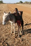 Himba Hirtenkinder mit Esel
