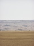 Dünen aus dem Skeleton Coast Park