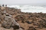 Wie die Ölsardinen am Strand