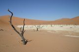 Deadvlei und Big Daddy Düne