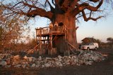 Campingplatz mit Hochstand